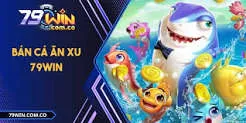 Tổng quan khu vực Shbet - Shbet