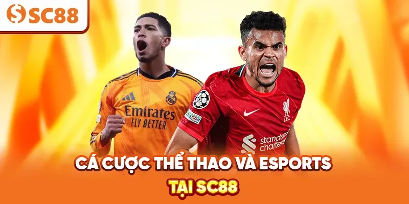 Trò chơi cá cược vui nhộn 2Q - 2Q