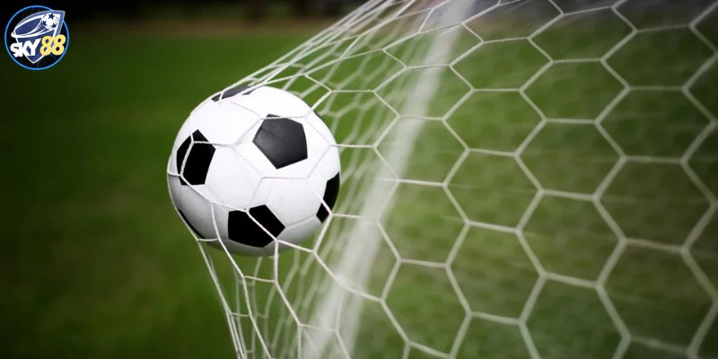188Bet King và các thành phần thương hiệu của nó - 188Bet