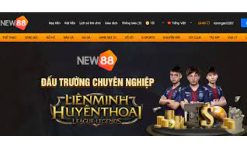 Giới thiệu về gà chọi Bong8899 - Bong8899