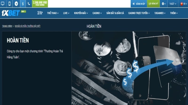 Đấu gà trực tuyến Fic88 HD - Fic88