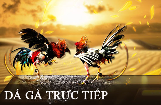 Hitclub có thực sự an toàn không? - Hitclub
