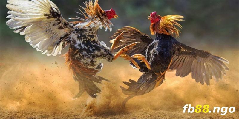 G6bet có cung cấp hỗ trợ 24/7 cho người chơi không? - G6bet