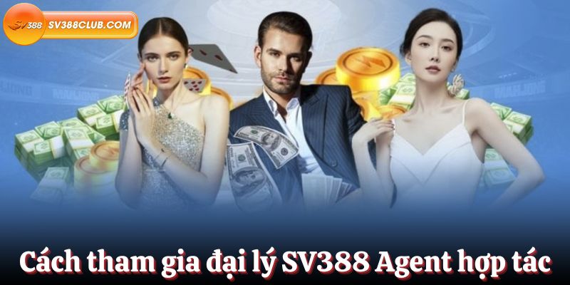 Dung lượng và khả năng sẵn có của thiết bị di động Subet - Subet