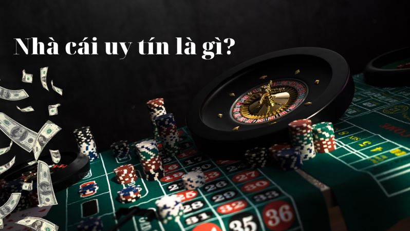 Tại sao tôi lại tham gia Đại hội Thể thao Luxvaip? - Luxvaip