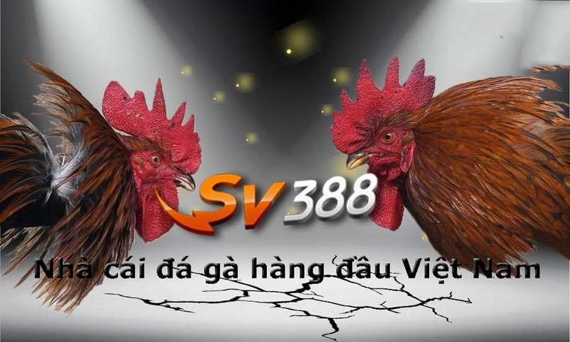 Giảm giá tại chỗ Oke88 - Oke88