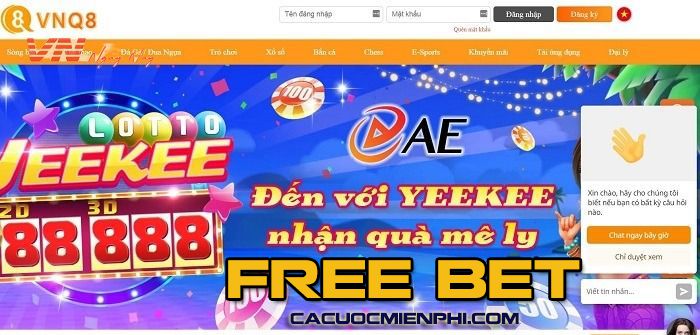 Các chương trình khuyến mãi của Vf555 Sports cung cấp nhiều mức giảm giá khác nhau - Vf555