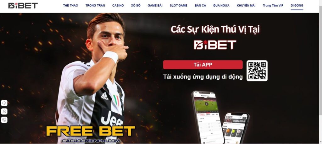 Tổng quan cơ bản về Tk88 - Tk88