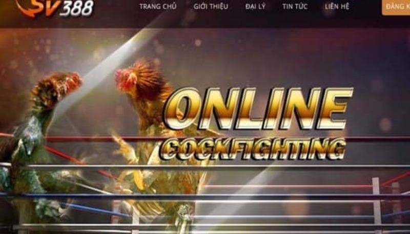 Nền tảng game 777King có hợp pháp không? - 777King