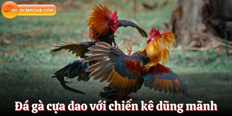 Danh mục sản phẩm của trang web cổng game thẻ bài Hr99 - Hr99
