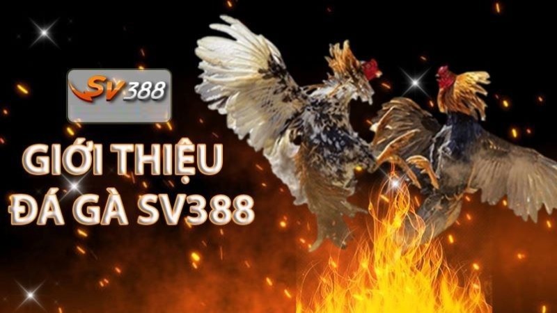 Đăng ký cấp độ 18Win 2026: 2 phút | Phần thưởng: 1000 Reais | Đã xác minh KYC - 18Win